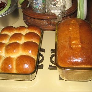 IMG_6755.JPG