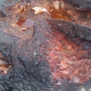 20160306_181039.jpg