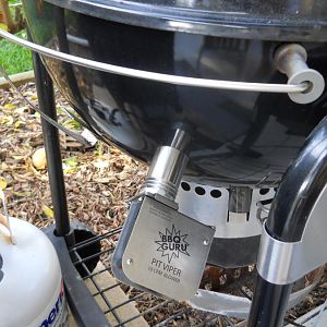 Guru in kettle 3.JPG