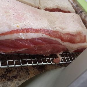 20160315_172630.jpg