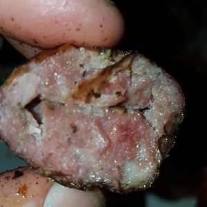 20160319_212538.jpg