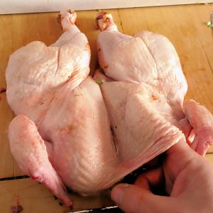IslandChix 06.jpg