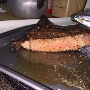 image.jpeg