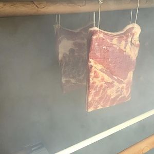 IMG_9638.JPG