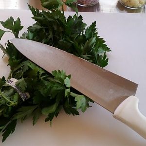 20160326_150935.jpg
