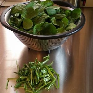 20160326_161904.jpg