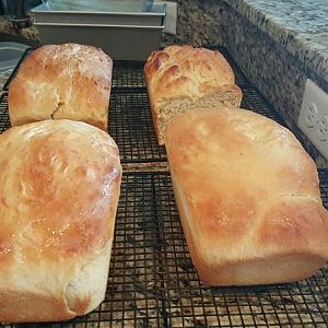 Bread.jpg