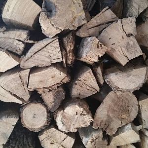 20160329_144838_resized_1.jpg