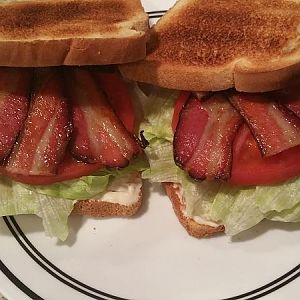 BLT sammich.jpg