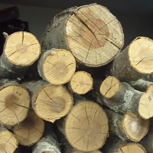 logs.jpg