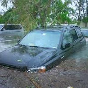 flood.jpg