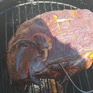 20160403_121430.jpg