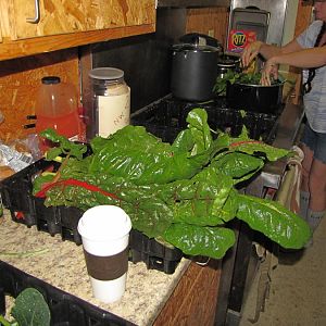 IMG_0597.JPG