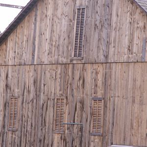 PICT0822.JPG