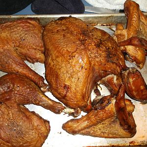 Turkey 4-4-16 001.JPG