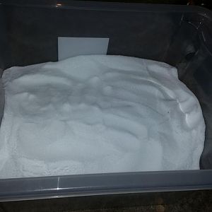 20160408_195350.jpg