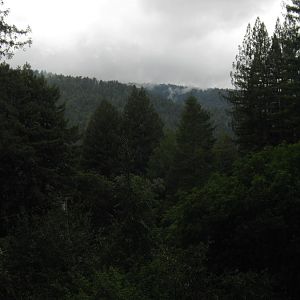 IMG_2287.JPG