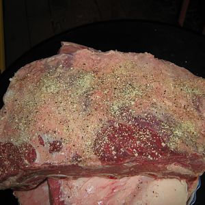 IMG_2281.JPG