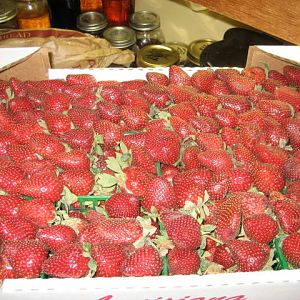 IMG_6874.JPG