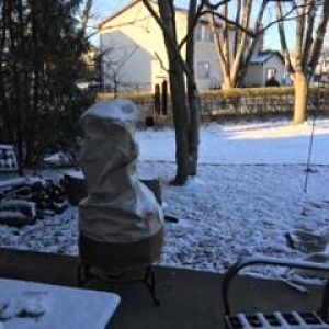 IMG_4283.jpeg