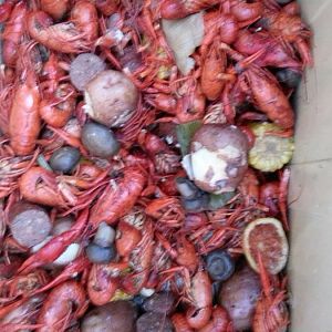 crawfish.jpg