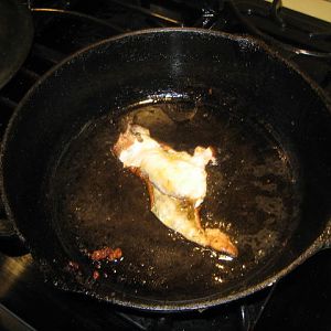 IMG_6887.JPG