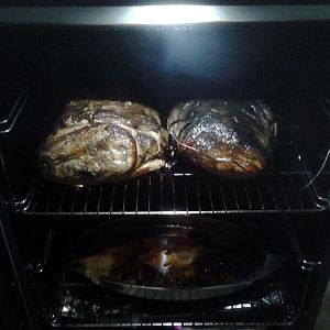 20160415_160335.jpg
