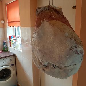 20160418_122040.jpg