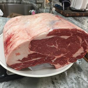 3-8-16 1.JPG