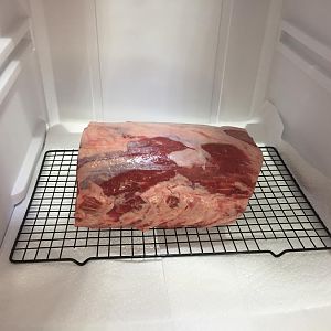 3-8-16 3.JPG