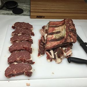 3-8-16 6.JPG