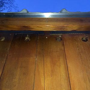 IMG_0812 (Medium).JPG