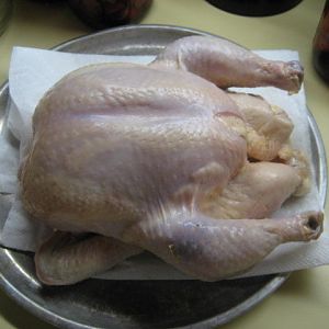 IMG_7029.JPG
