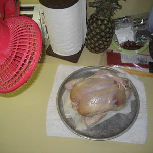 IMG_7031.JPG