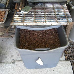 IMG_7033.JPG