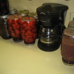 IMG_7069.JPG
