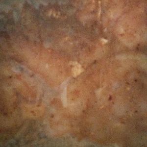 20160426_115201.jpg