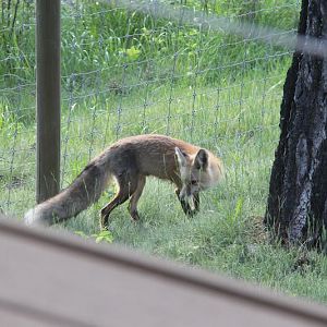IMG_9045.JPG