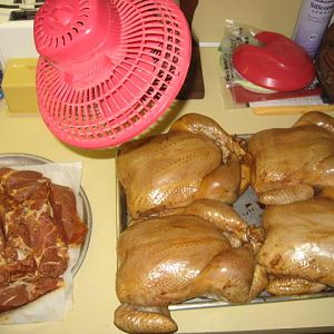 IMG_7089.JPG