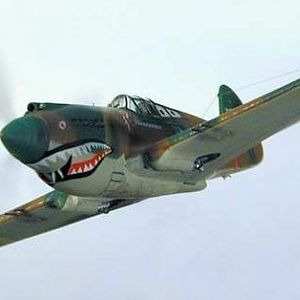 P40Bshot.jpg