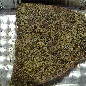 20160430_121315.jpg