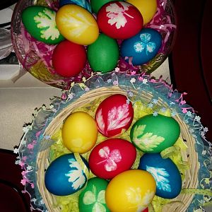 IMG_20160501_131013.jpg