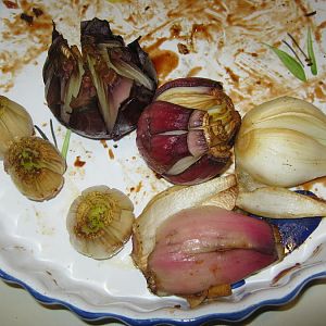 IMG_2761.JPG
