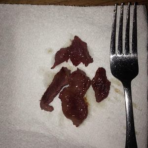 IMG_1169.JPG