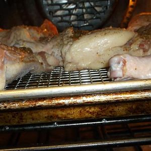 CHICKEN INJECTED 007.JPG