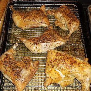 CHICKEN INJECTED 008.JPG