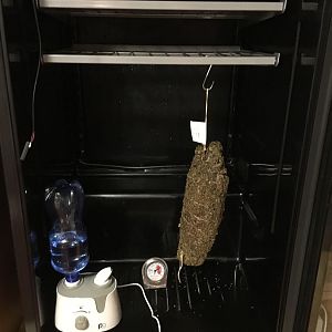 image.jpeg