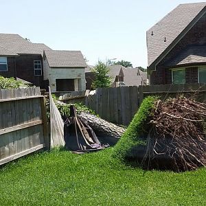 20160427_134917.jpg
