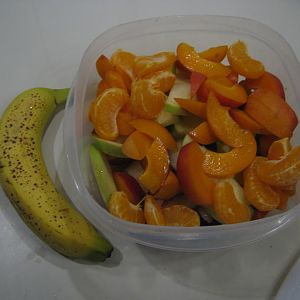 IMG_3013.JPG