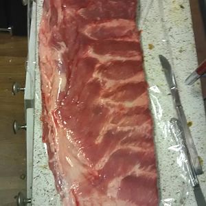IMG_20160513_113842.jpg